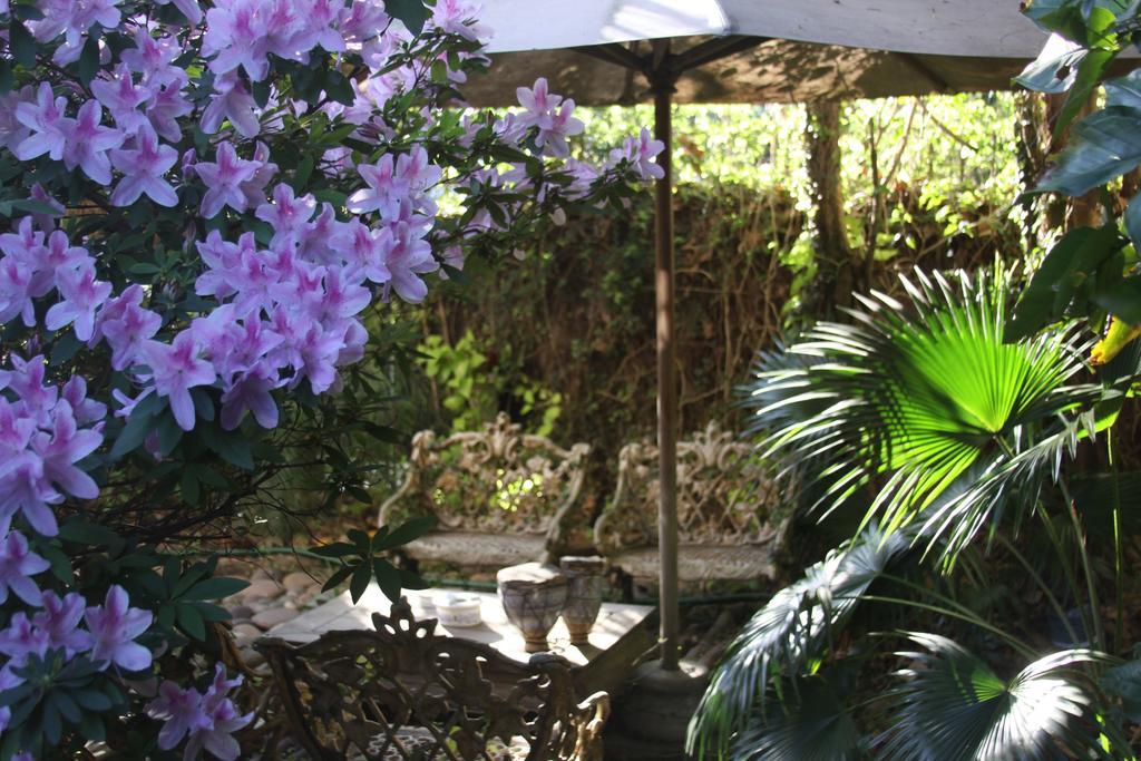 Bed and Breakfast La Casona De Grace Olivos Exterior foto