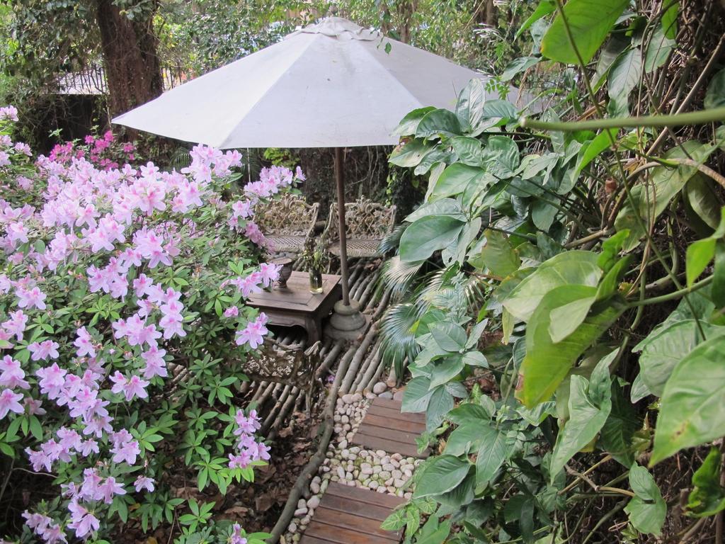 Bed and Breakfast La Casona De Grace Olivos Exterior foto